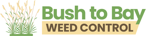 Bush to Bay Weed Control - Fraser Coast